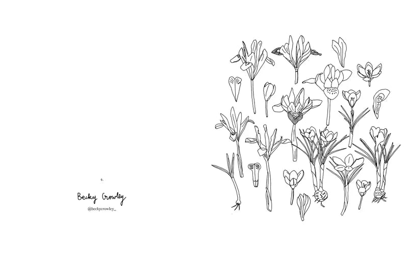 CAHIER DE COLORIAGES - Fleurs - Zoé de las Cases