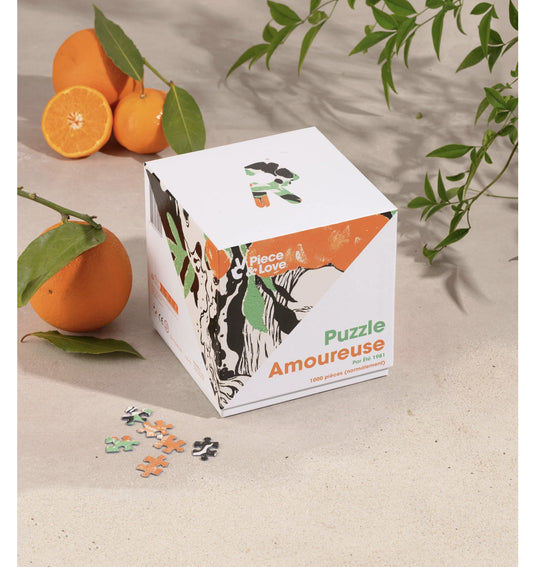 Puzzle Eclipse by été 1981