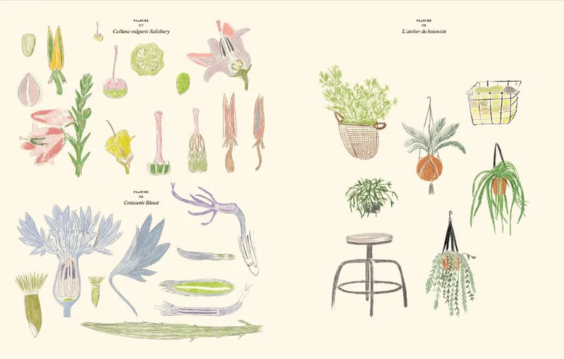 Coloring and sticker book / The Garden - Zoé de Las Cases 