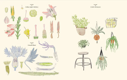 Coloring and sticker book / The Garden - Zoé de Las Cases 