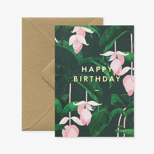 Medinilla - Carte de voeux
